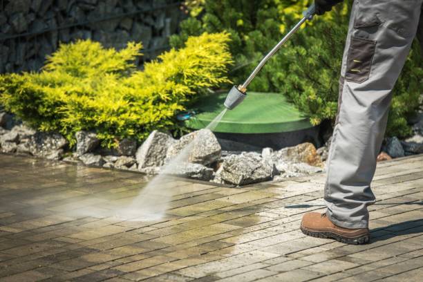 Best Gutter Cleaning  in Frewsburg, NY